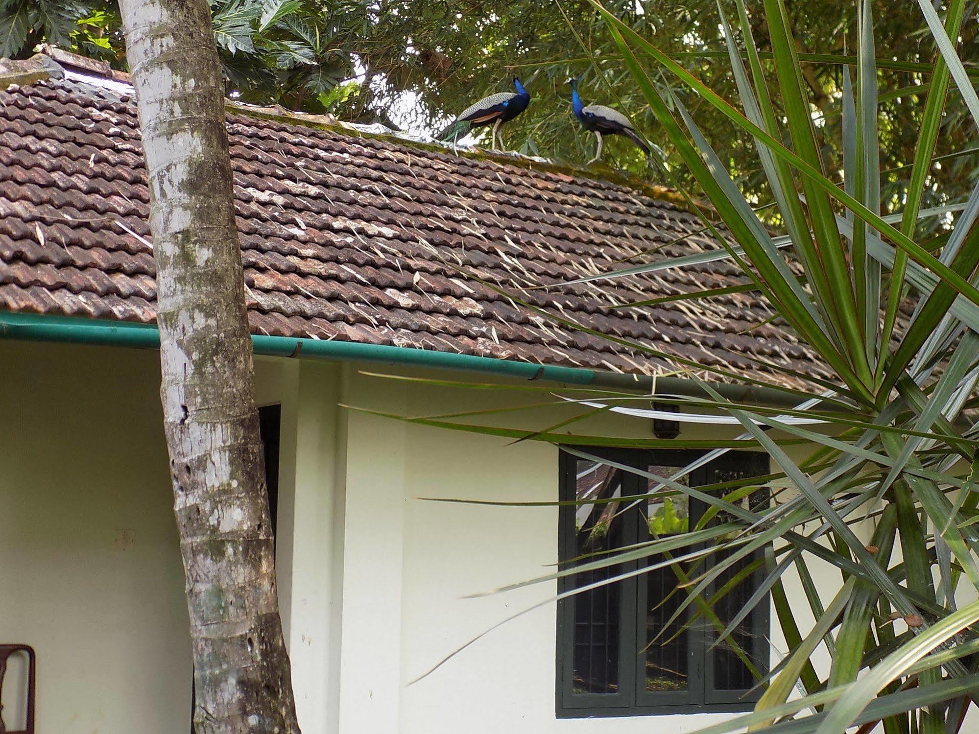 Elphinstone Residency Bed & Breakfast Kochi Exterior photo